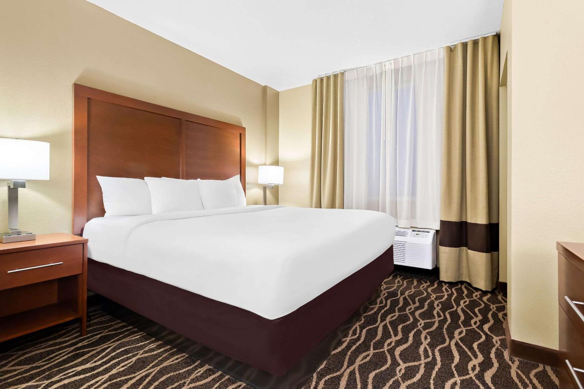 คอมฟอร์ต สวีท แทมป้า แอร์พอร์ต นอร์ท Hotel แทมปา ภายนอก รูปภาพ