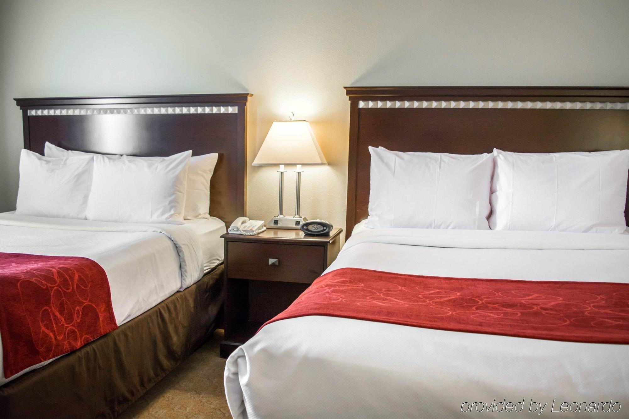 คอมฟอร์ต สวีท แทมป้า แอร์พอร์ต นอร์ท Hotel แทมปา ภายนอก รูปภาพ