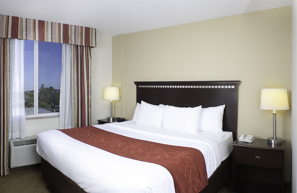 คอมฟอร์ต สวีท แทมป้า แอร์พอร์ต นอร์ท Hotel แทมปา ภายนอก รูปภาพ